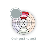 o singura nuanta